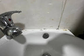 AMU Dreamhouse Image 5