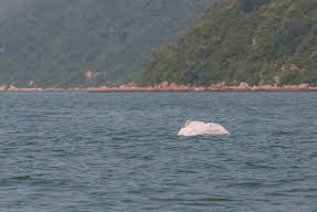 Check Inn HK Image 2