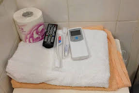 Lily Garden Guest House Image 3