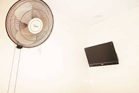 Shangrila Guest House Image 8