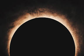 SLEEEP | HKG.Sheung Wan (Gough St.) Image 26